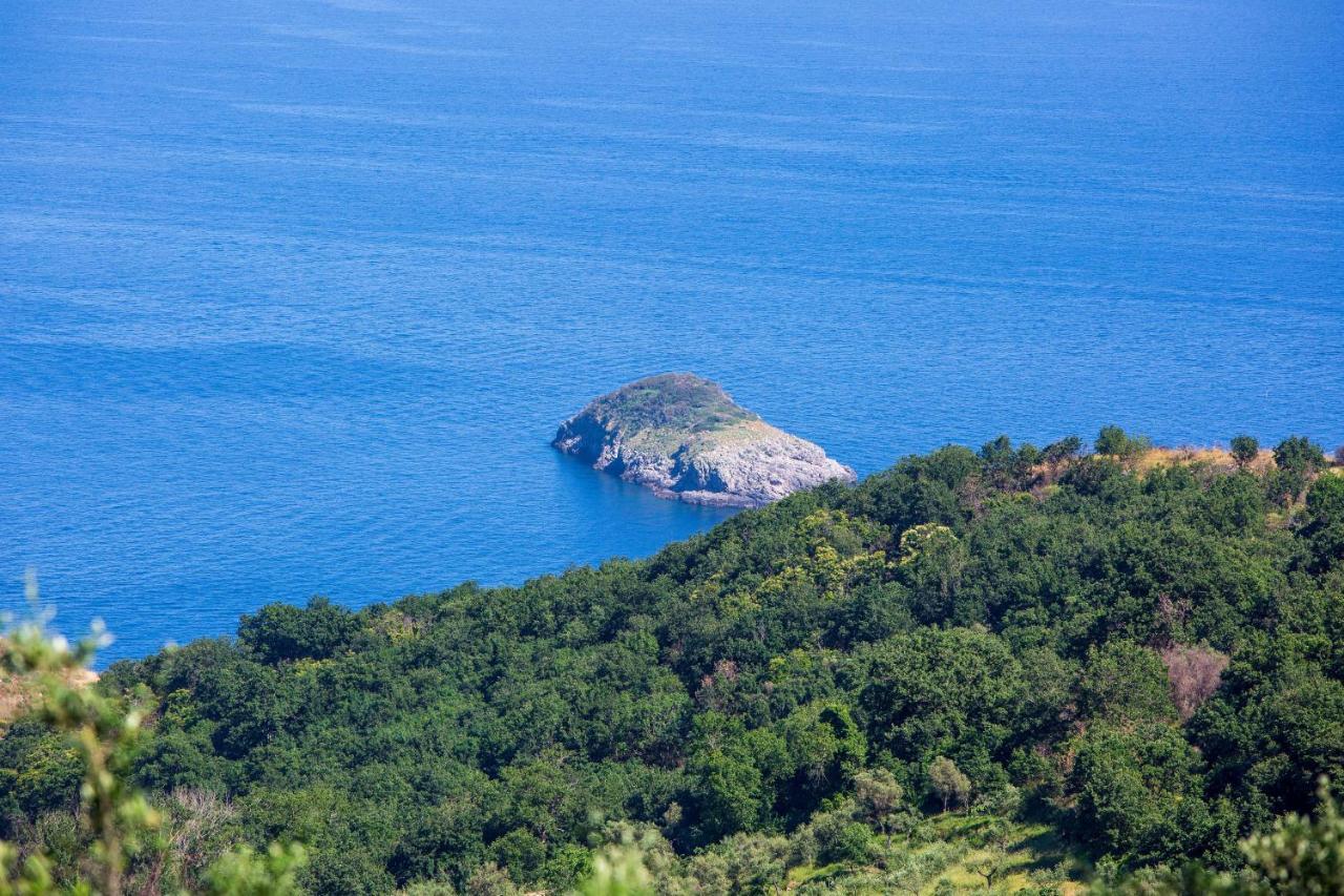 Villa Fedora Sea&Stars Massa Lubrense Kültér fotó